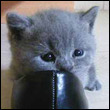 Avatar di Ettorefacgf